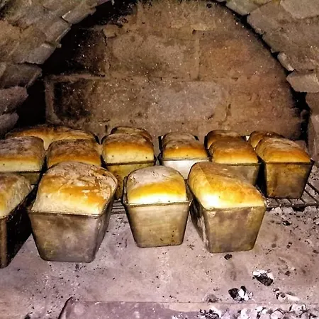 Gæstehus U Dvori Podgorodtsy