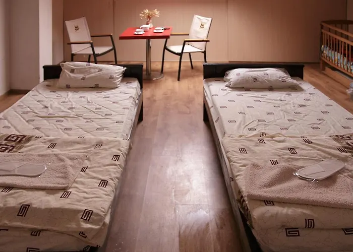Guest house U Dvori *