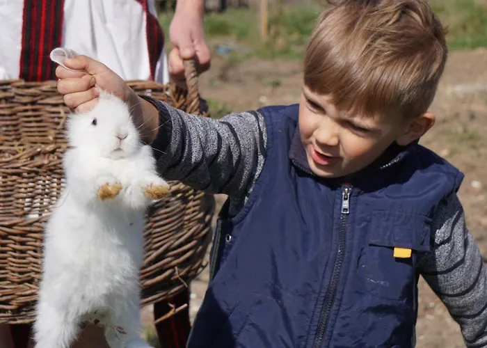 Guest house U Dvori Podgorodtsy