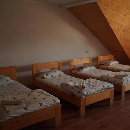 U Dvori * Podgorodtsy