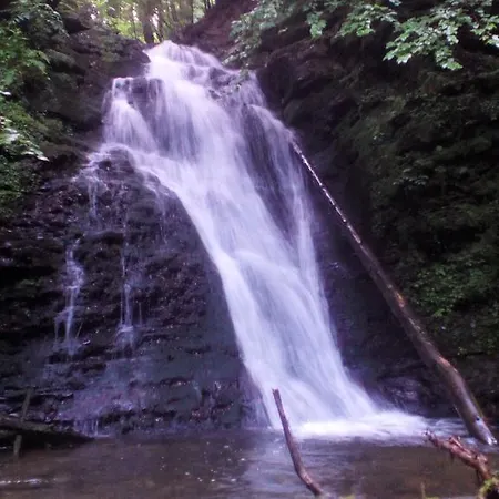 Guest house U Dvori *