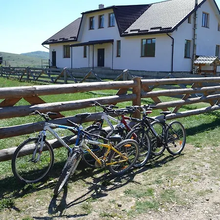Guest house U Dvori *