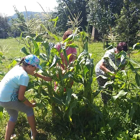 U Dvori Guest house Podgorodtsy