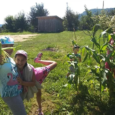 Guest house U Dvori Podgorodtsy