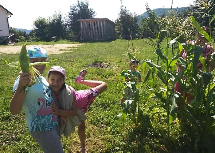 Πανσιόν U Dvori Podgorodtsy
